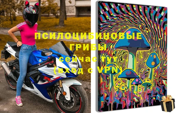 стафф Богородск