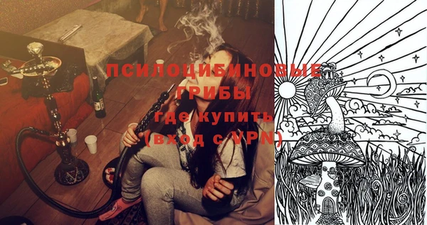 соль курить ск Бородино