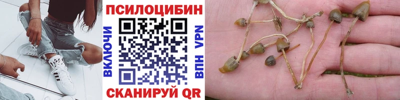что такое   Гусиноозёрск  Галлюциногенные грибы ЛСД 